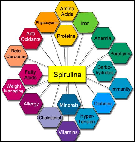Spirulina Nutrition